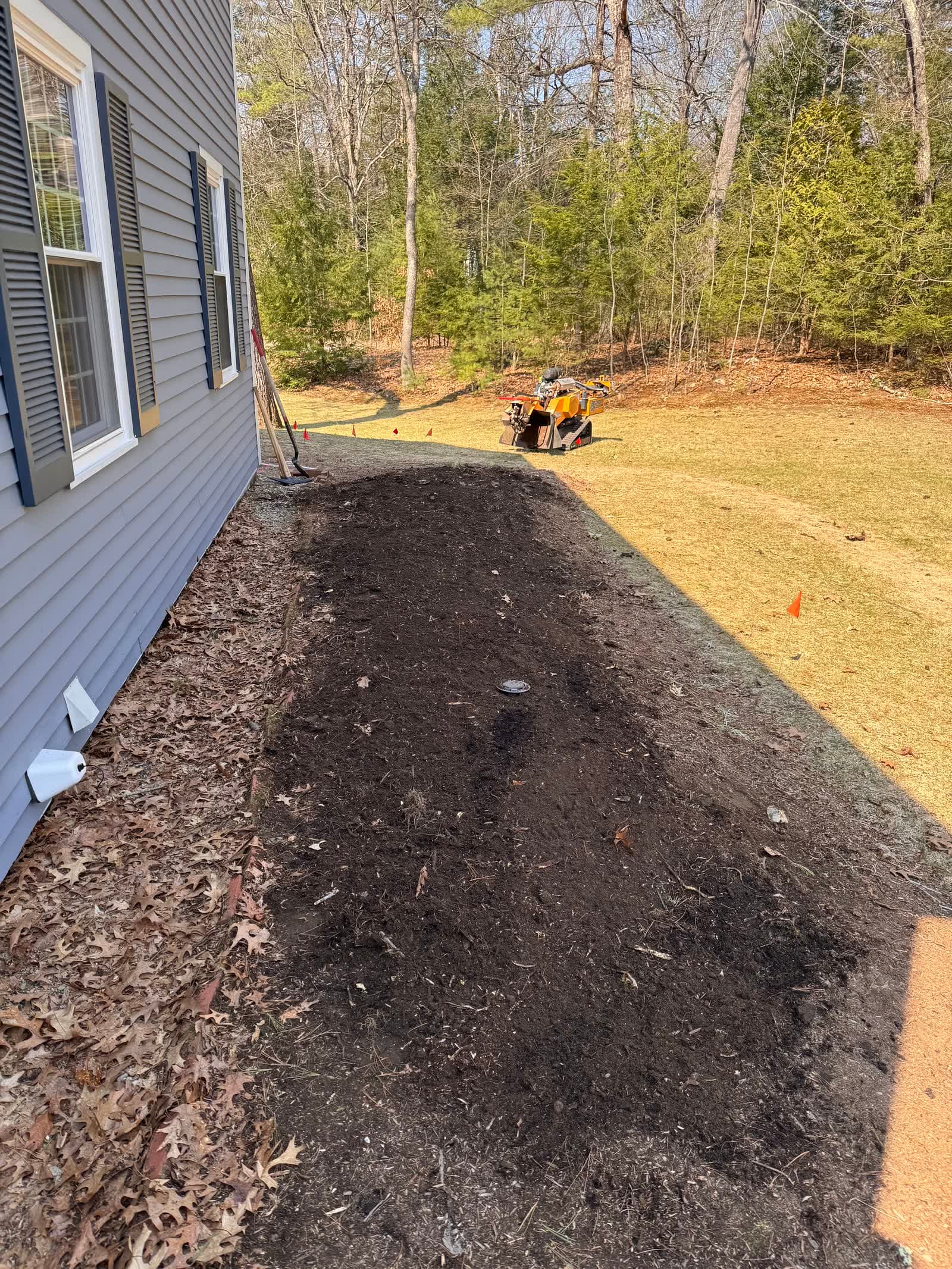 Garden bed after grinding and cleanup, ready for replanting